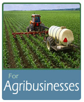 agribusiness